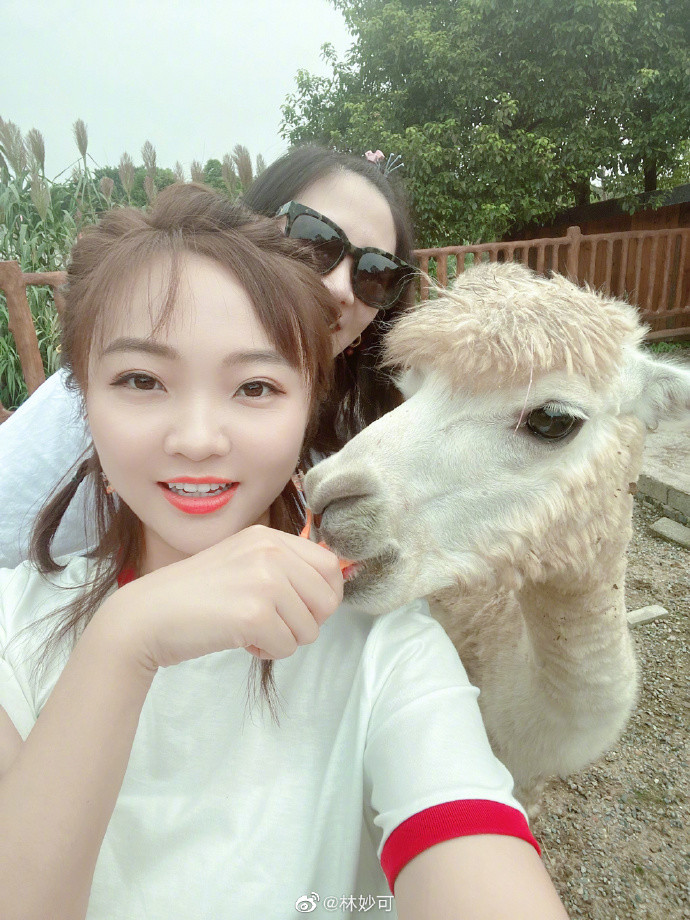 林妙可|21岁林妙可晒近照，和羊驼贴面合影，路人镜头下身材又矮又胖