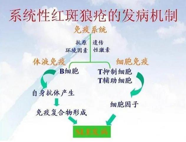 这种"不死的癌症"会"72变",75岁老奶奶,45岁阿姨都中招了