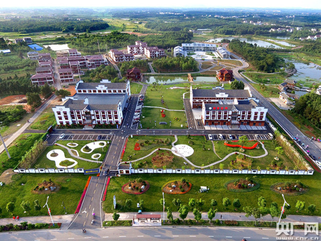 【中部崛起势正劲:江西篇】"鼻尖上"的百亿产业|香谷小镇|江西|金溪县