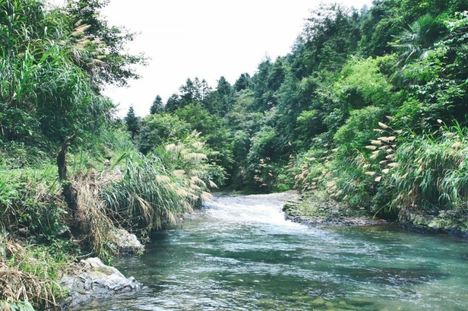 秦观|在追忆往昔中情感体验，秦观将心路历程写进词中，读来哀婉动人