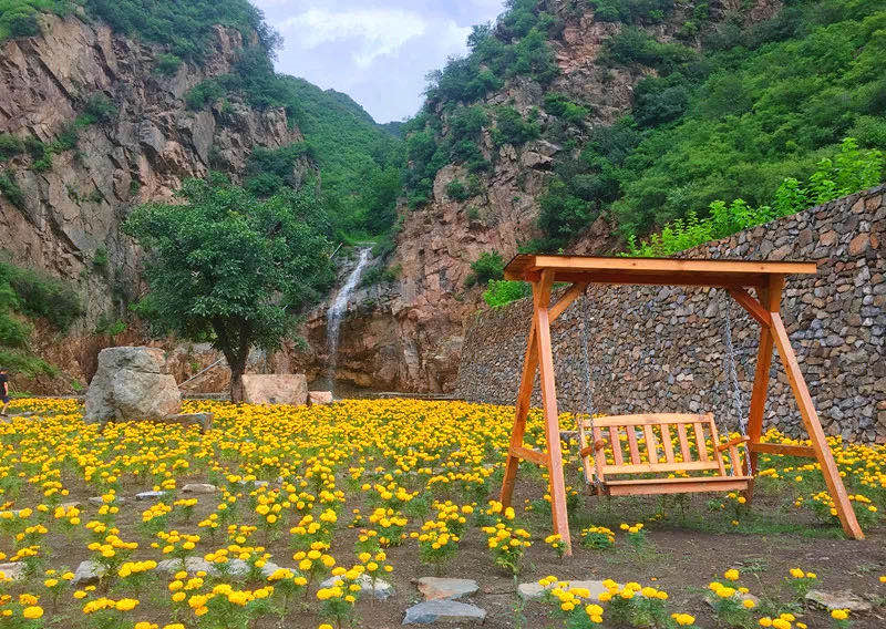 门头沟区|黑色煤村变身“网红打卡地”，门头沟这个花海值得一去