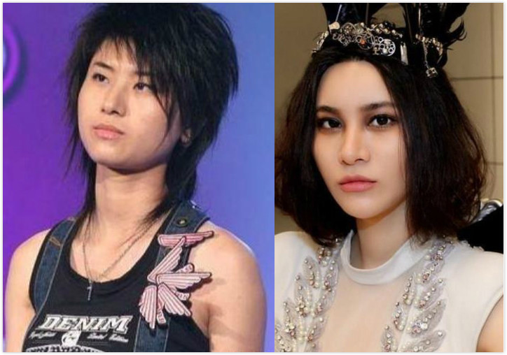 整容|明星整容早已是公开的秘密，难就难在她们不懂“见好就收”