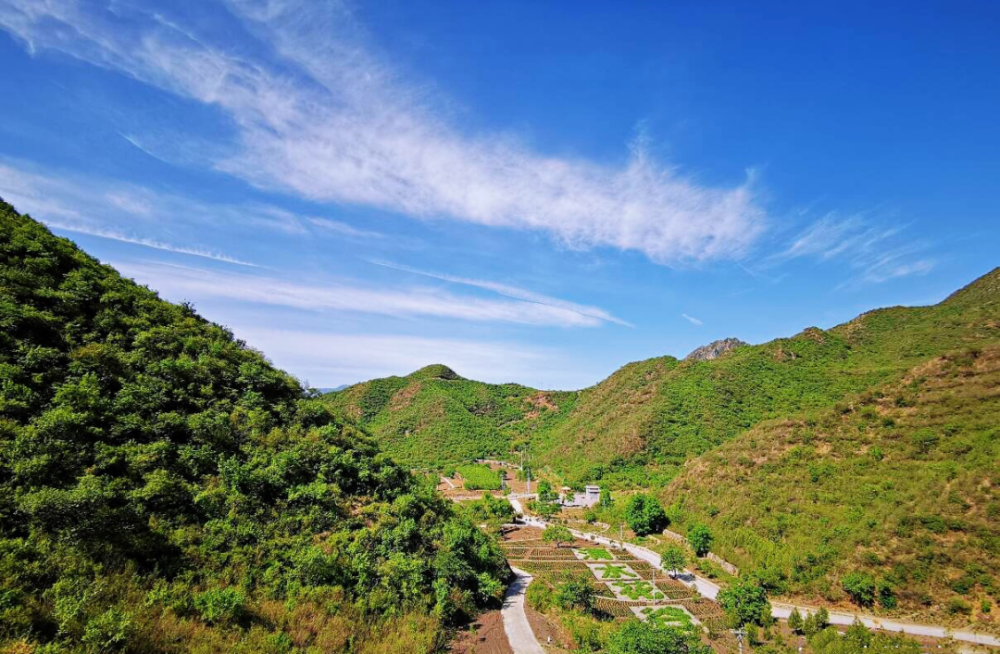 门头沟区|黑色煤村变身“网红打卡地”，门头沟这个花海值得一去