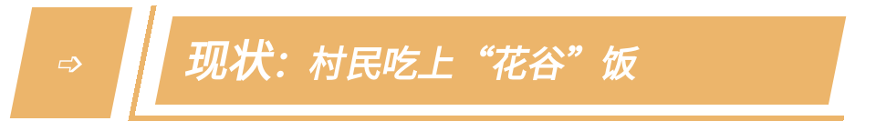 门头沟区|黑色煤村变身“网红打卡地”，门头沟这个花海值得一去