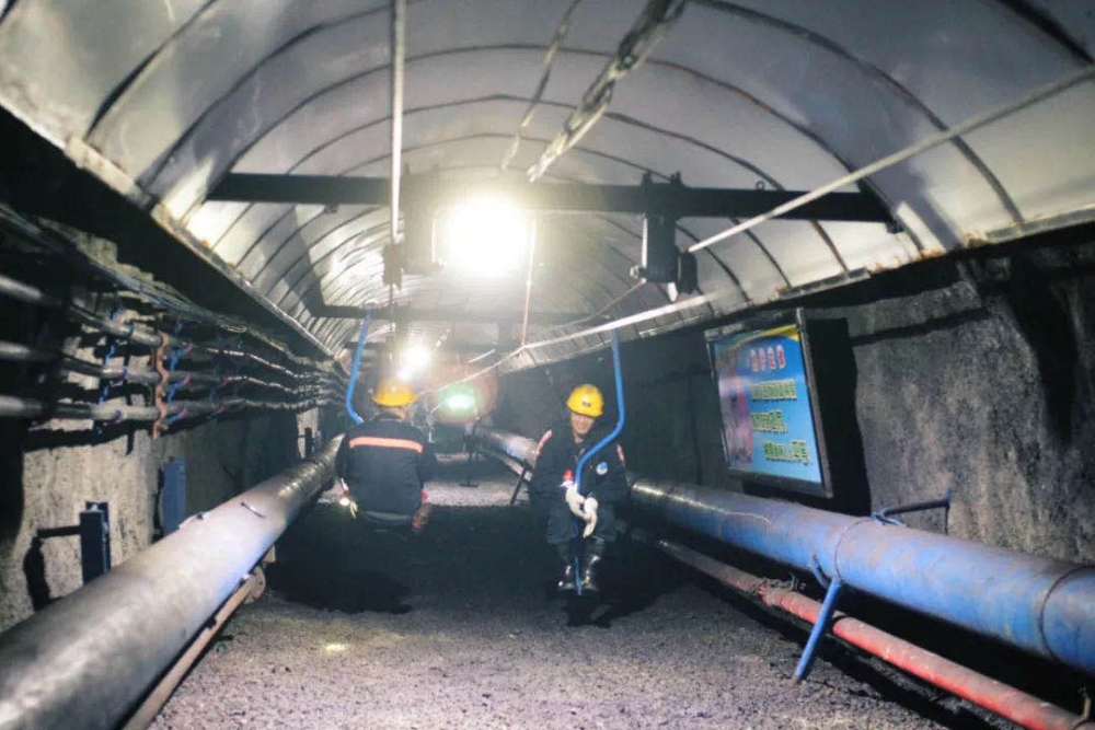 门头沟区|黑色煤村变身“网红打卡地”，门头沟这个花海值得一去