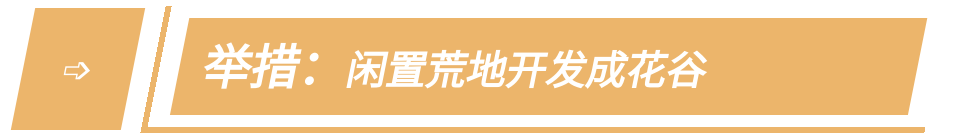 门头沟区|黑色煤村变身“网红打卡地”，门头沟这个花海值得一去
