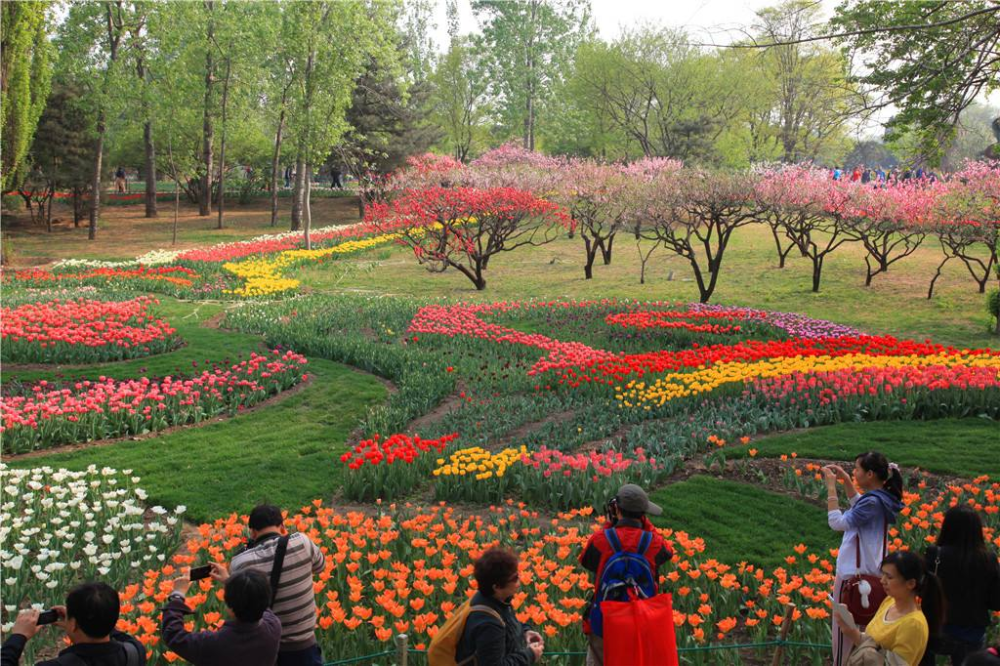 故宫|北京又一“巨无霸”公园，面积超故宫2倍，斥资超5亿门票10元