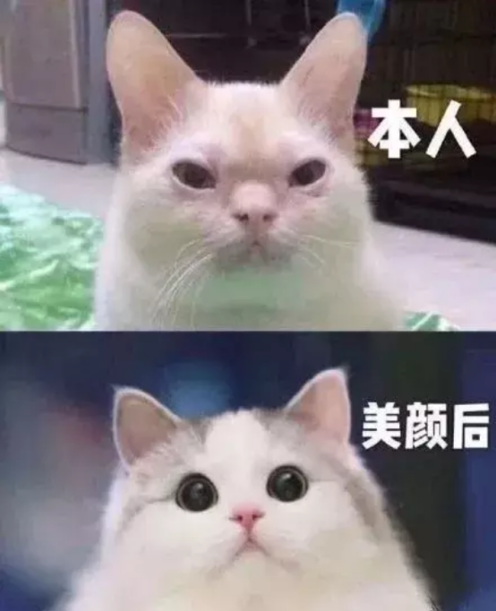 平常生活中的我们跟美颜镜头下的我们果然不一样,这对比真实的惊人