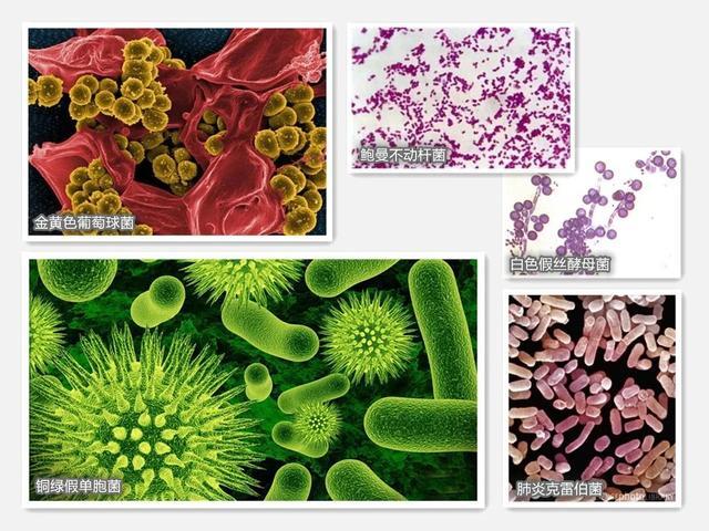 李国培|三千次实验做出来的新材料，让70岁的他敢在新冠确诊病区摘口罩