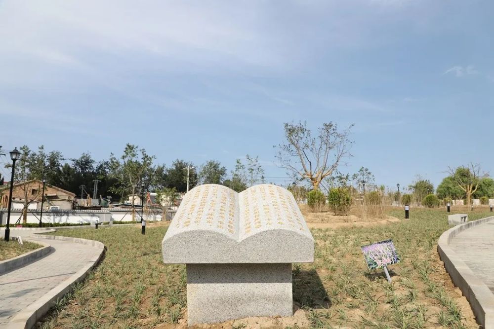 口袋公园|朝阳这儿的“口袋公园”上线～又多一个带娃、遛弯……好去处！