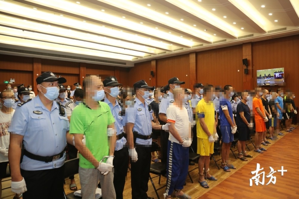 长期在湛江市区和廉江市等区域从事"套路贷"活动的黑社会性质犯罪组织