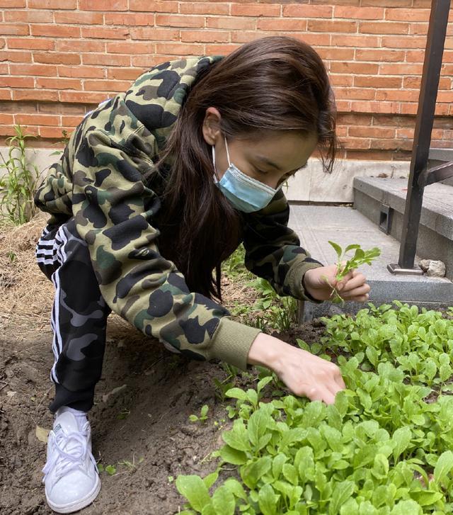 angelababy|Angelababy上海街头回忆童年吃3元拉面，现住千万豪宅