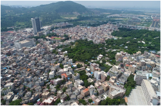 87公顷.新增中小学,幼儿园南沙大井村旧改宅地面积30.