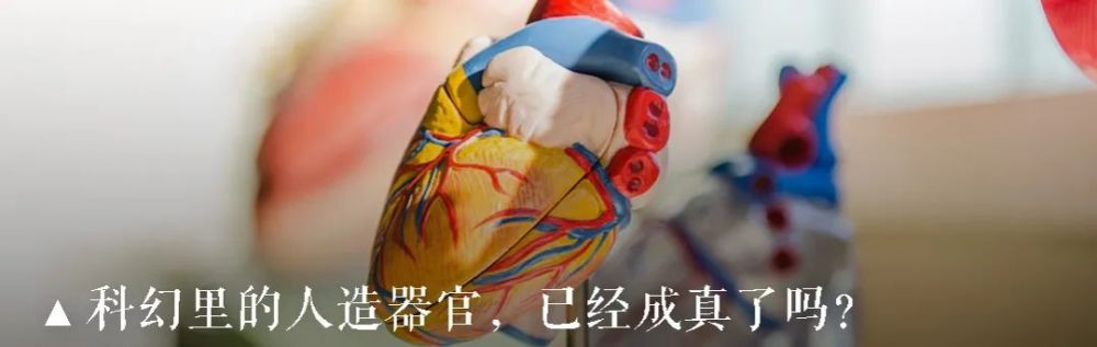 麦康诺|“吃掉你，我就继承你的记忆”？记忆转移实验是造假还是奇迹？