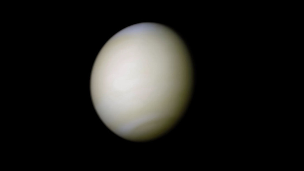 阿维·勒布|如果金星存在生命，可能是从地球偷渡过去的！