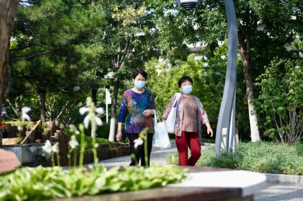 北京|红了！京城第一波红叶已上线！朝阳人家门口就能见！