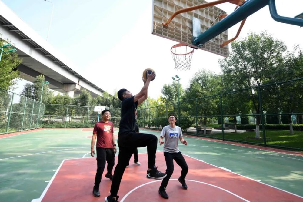 北京|红了！京城第一波红叶已上线！朝阳人家门口就能见！