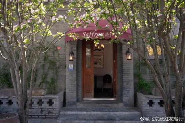 北北|北京最宝藏的一条胡同，被乐队的夏天带火，比南锣鼓巷好玩多了！