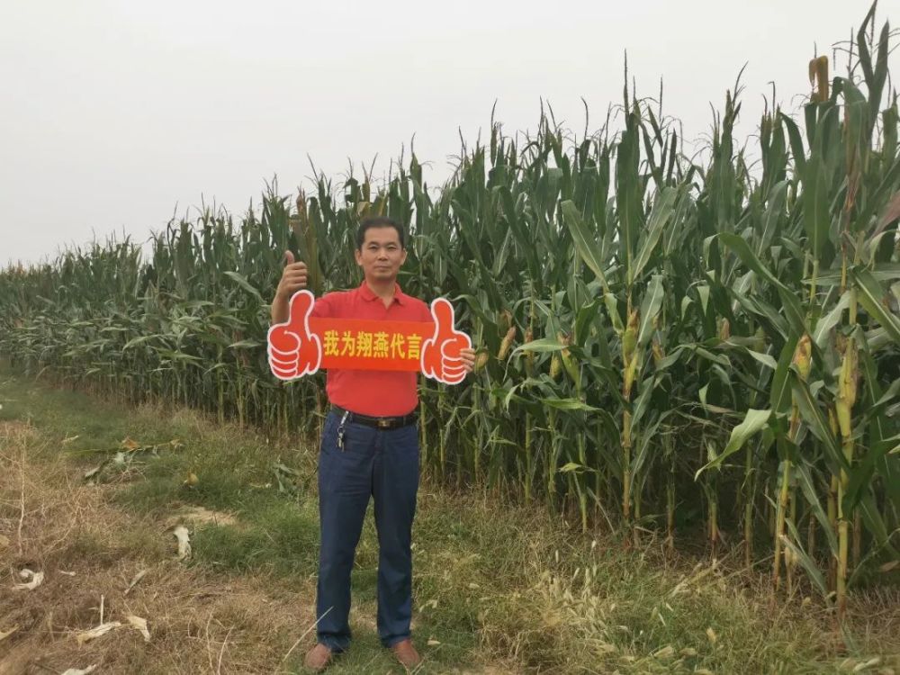 常勇|大田市场，机会来了！