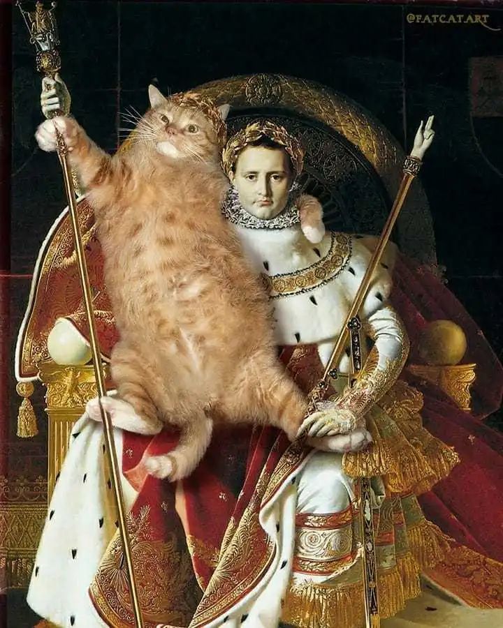 您今天的所有笑点就由这只橘猫承包了看上去没有一点违和感