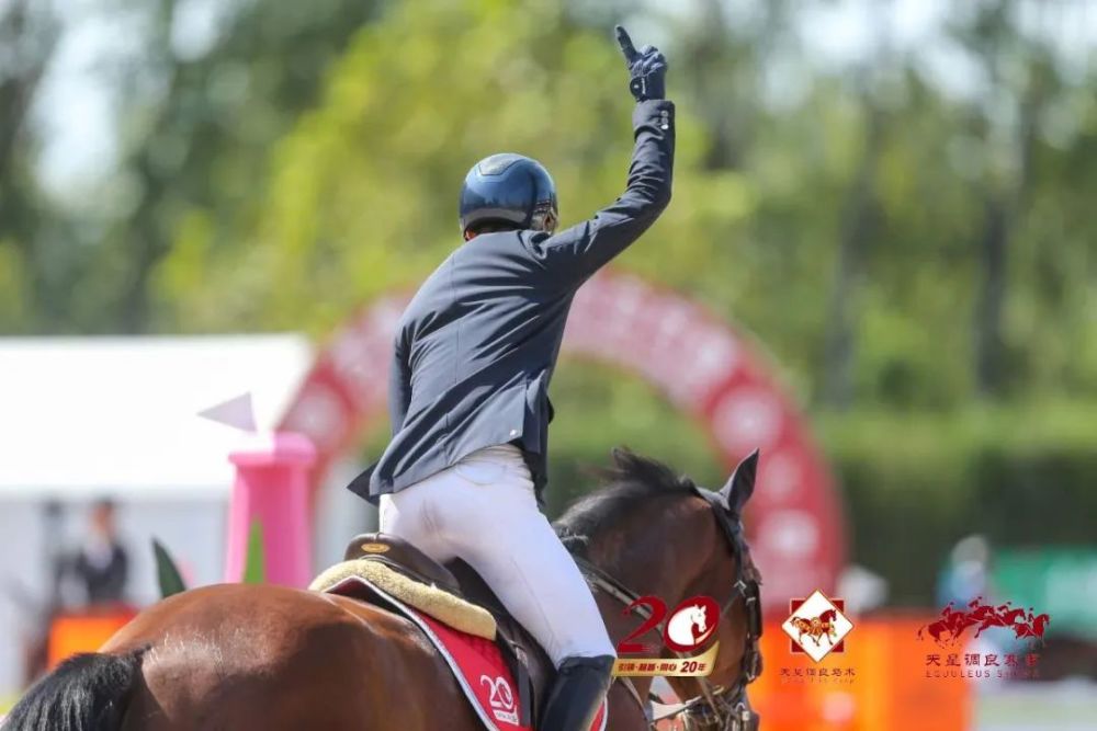天星调良马术|国际马术文化周暨天星调良马术公开赛精彩回顾