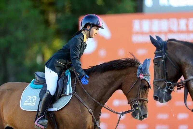 天星调良马术|国际马术文化周暨天星调良马术公开赛精彩回顾