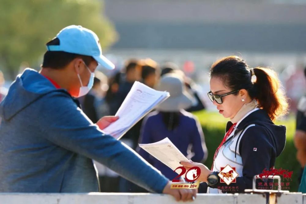 天星调良马术|国际马术文化周暨天星调良马术公开赛精彩回顾