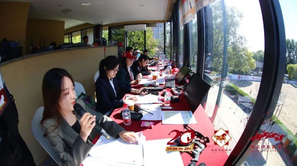 天星调良马术|国际马术文化周暨天星调良马术公开赛精彩回顾