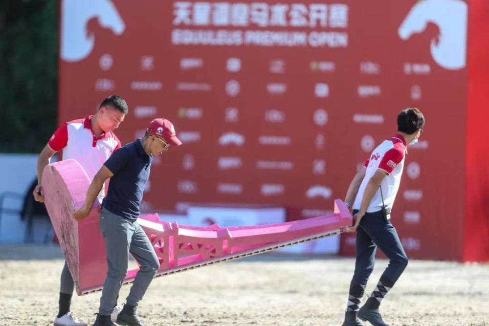 天星调良马术|国际马术文化周暨天星调良马术公开赛精彩回顾