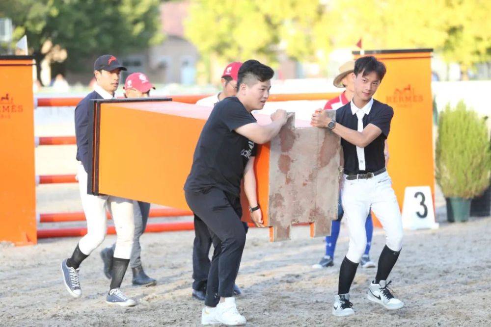 天星调良马术|国际马术文化周暨天星调良马术公开赛精彩回顾