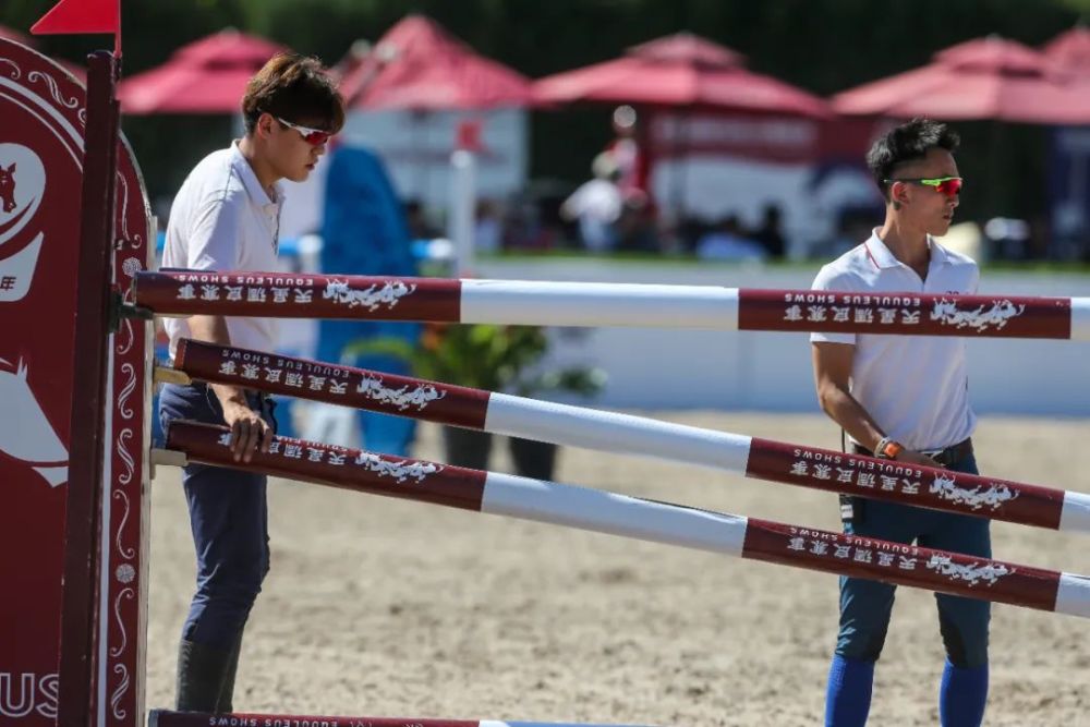 天星调良马术|国际马术文化周暨天星调良马术公开赛精彩回顾
