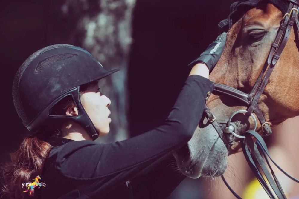 天星调良马术|国际马术文化周暨天星调良马术公开赛精彩回顾