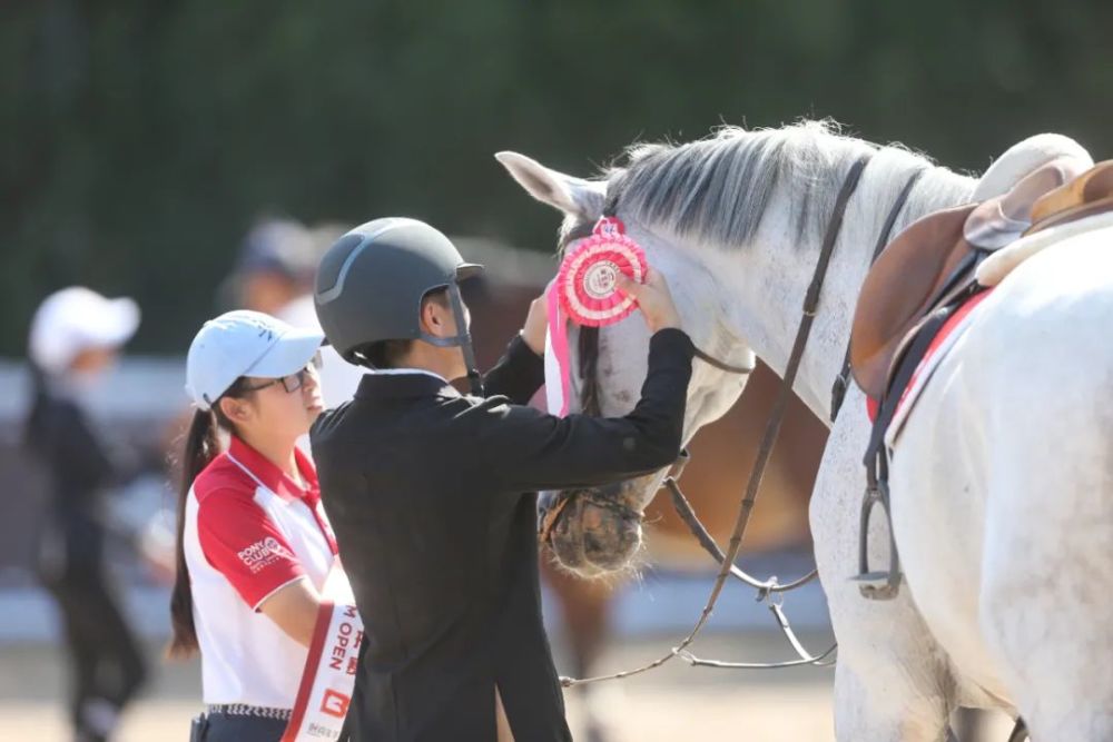 天星调良马术|国际马术文化周暨天星调良马术公开赛精彩回顾