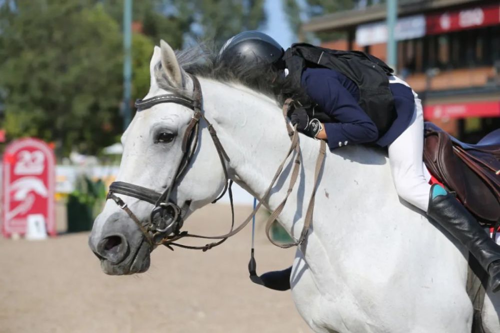 天星调良马术|国际马术文化周暨天星调良马术公开赛精彩回顾