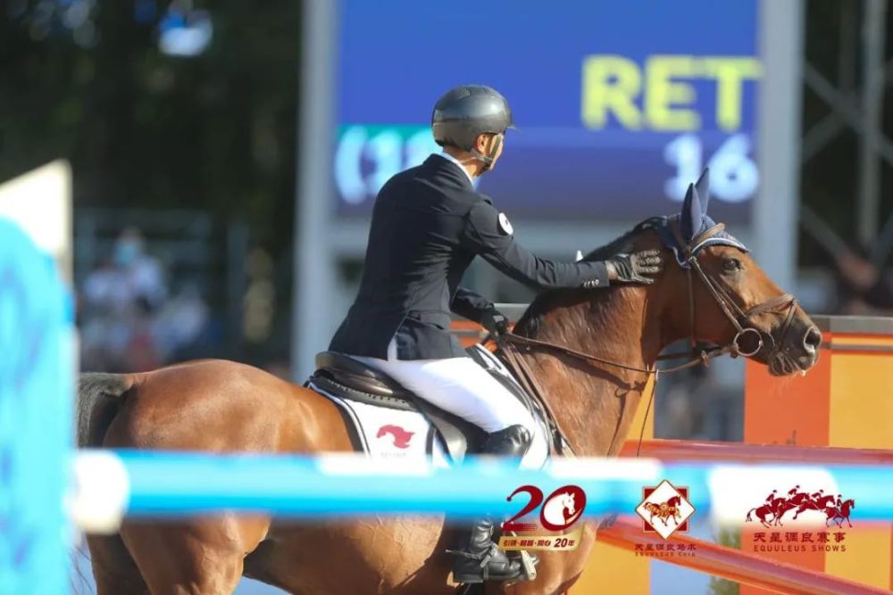 天星调良马术|国际马术文化周暨天星调良马术公开赛精彩回顾