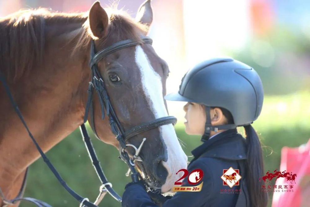 天星调良马术|国际马术文化周暨天星调良马术公开赛精彩回顾