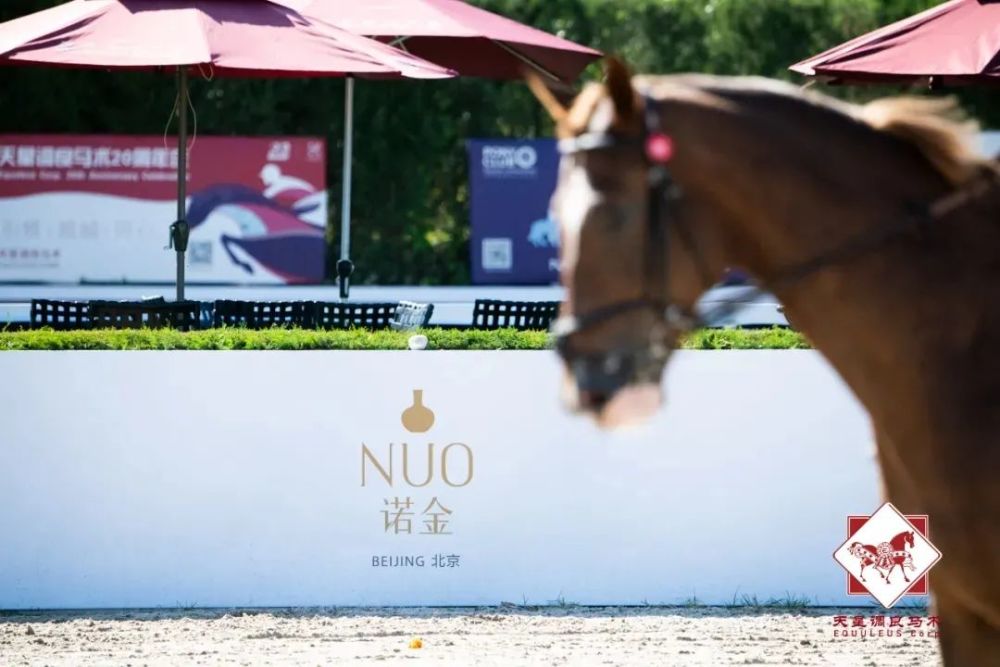 天星调良马术|国际马术文化周暨天星调良马术公开赛精彩回顾