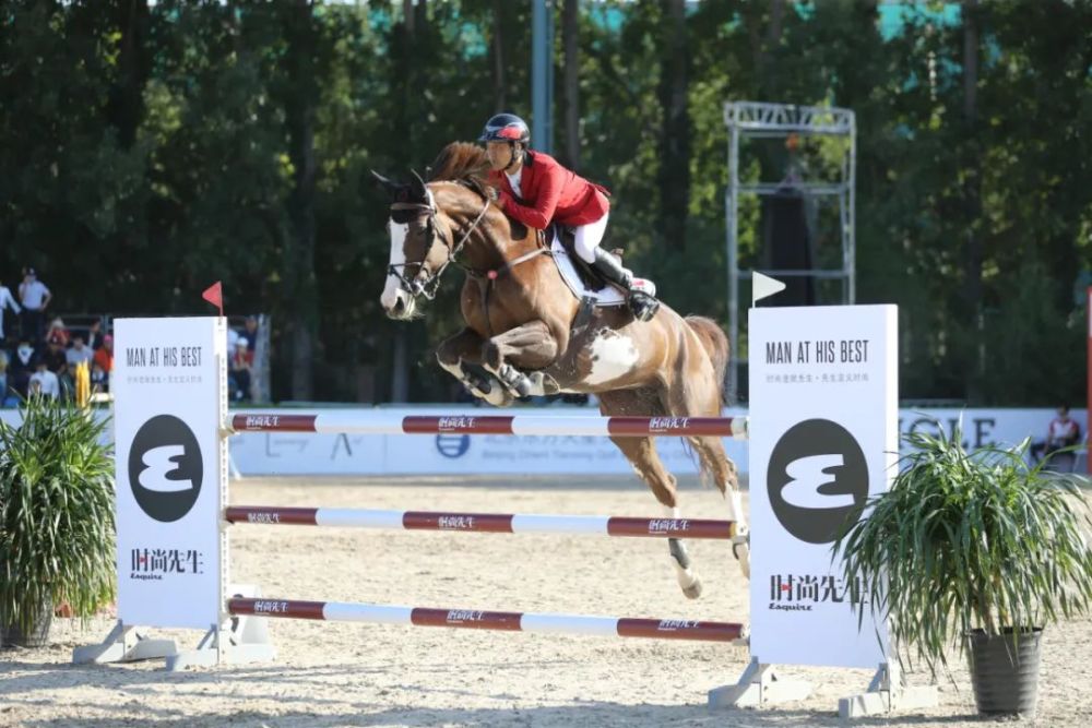 天星调良马术|国际马术文化周暨天星调良马术公开赛精彩回顾