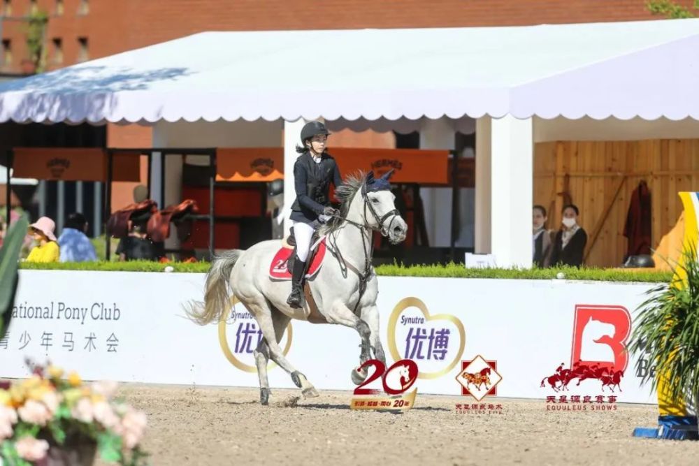 天星调良马术|国际马术文化周暨天星调良马术公开赛精彩回顾