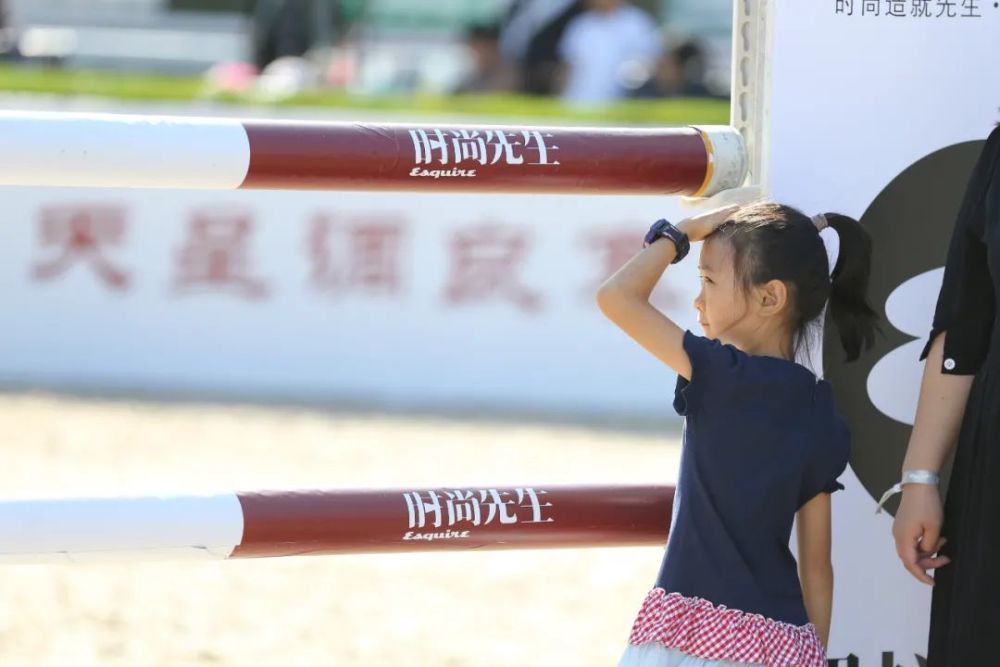 天星调良马术|国际马术文化周暨天星调良马术公开赛精彩回顾