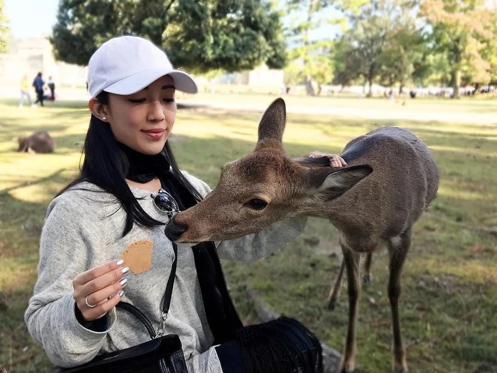 霍启刚|霍启刚堂妹霍咏诗晒孕肚照宣布怀孕，法律博士出身颜值不输女明星