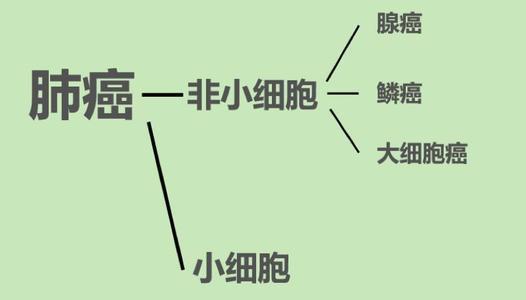 肺鱗癌的治療方法有哪些 效果怎麼樣 健康管家