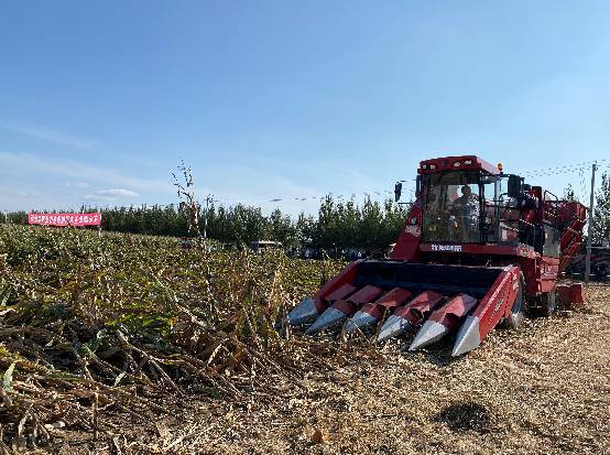 收割机"变形"齐上阵,破解玉米倒伏难题