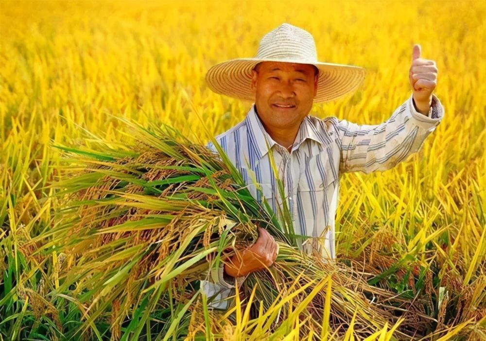 骂完农民还不罢休王福重又出奇葩言论难道老百姓要求看病便宜还有错吗