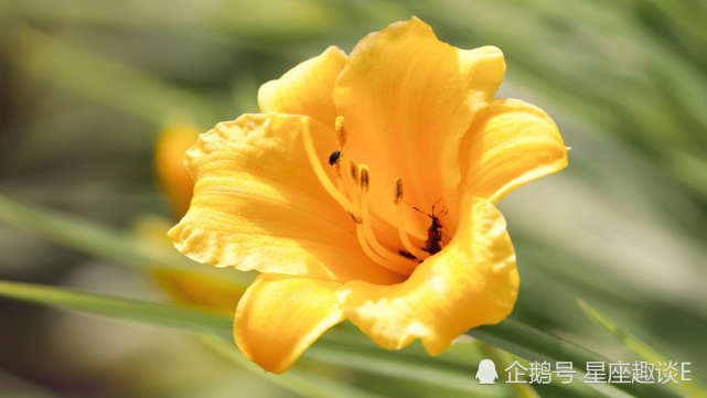 9月26日星座运势 巨蟹全力以赴 天秤平心静气 摩羯勇往直前 腾讯网