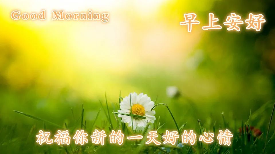 挣开梦眼惺忪,健康快乐出行,祝福记心间,希望常存信念,温馨道声早安!