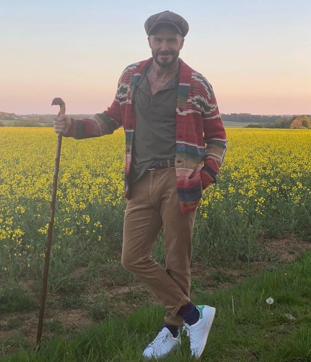 贝克汉姆|贝克汉姆不踢球改养蜜蜂！全家穿防蜂服像太空人，小七比耶笑容甜