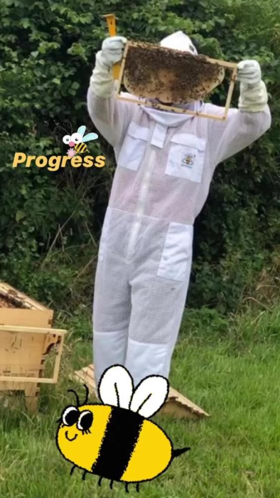 贝克汉姆|贝克汉姆不踢球改养蜜蜂！全家穿防蜂服像太空人，小七比耶笑容甜