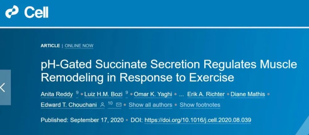 细胞|肌肉是怎么练出来的？CELL：琥珀酸调节运动时肌肉的重塑
