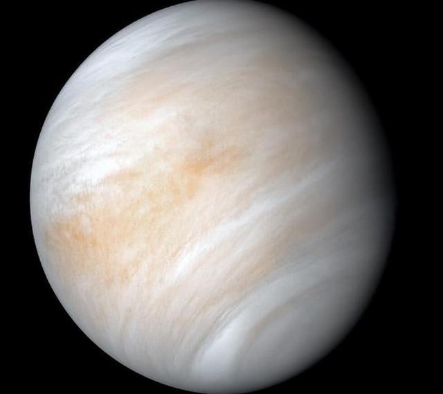 金星_天文行星|金星有生命出现“新说法”！哈佛专家：如存在，可能是来自地球